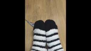 Попугаи! Приколы про попугаев! Смешные попугаи!