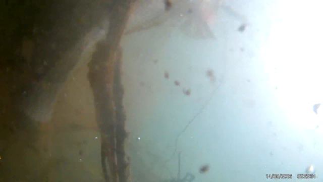 Трудовой судак. Сакмара смотреть онлайн