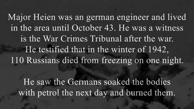 WW2 - Diary From A POW Camp