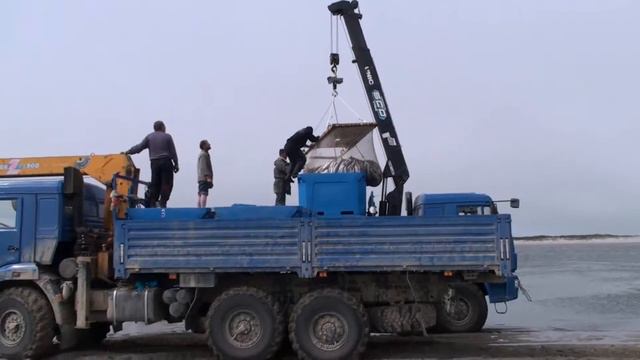 доставка рыбы на рыбоперерабатывающий завод смотреть онлайн