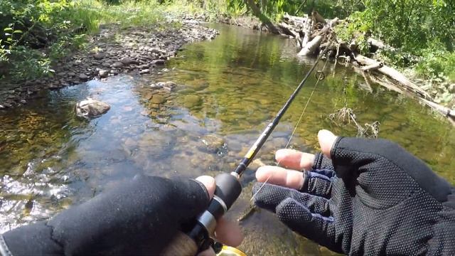 Пятнистое ЧУДО смотреть онлайн