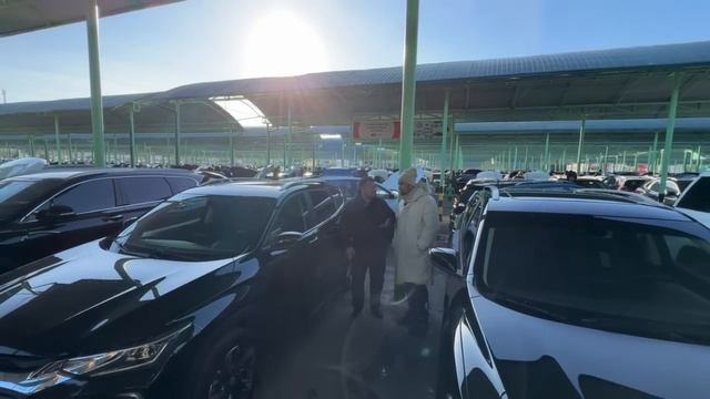 Sergeli Moshina Bozori Narxlari 2023