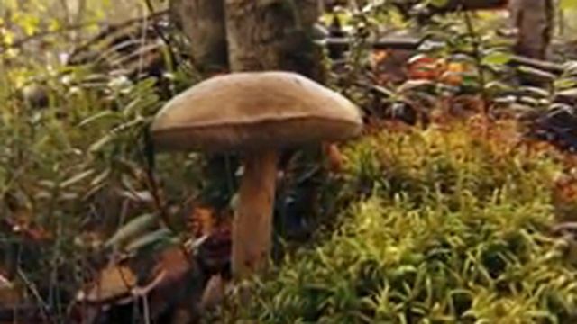 Самая Нежная и красивая музыка антистресс . Небесный сон! Очень красивая мелодия для души.