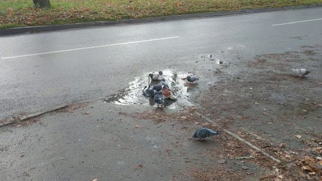 Холодная вода в Светловодске подана везде /// смотреть онлайн