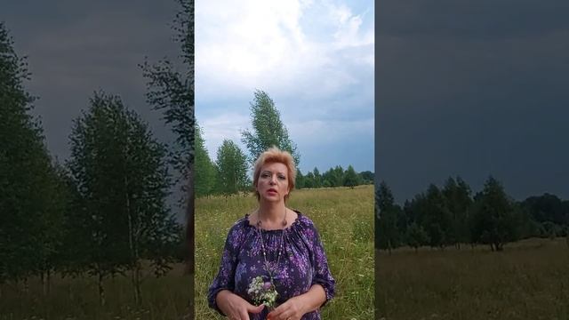 Как найти хозяев брошенного участка? Ответ здесь! смотреть онлайн
