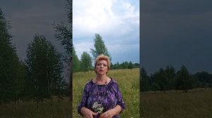 Как найти хозяев брошенного участка? Ответ здесь!