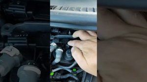 слив воды с топливного фильтра PSA (PEUGEOUT, CITROEN)