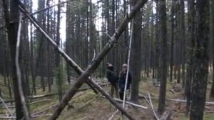 Обнаружен снежный человек | 2017