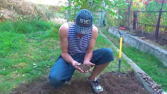 12 Всяких разных цветов хватает (1).mp4 смотреть онлайн