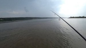 СЕВЕРНЫЙ ОБЪЕЗД ВЫДАЛ ТРОФЕЯ /  РЫБАЛКА В НОВОСИБИРСКЕ