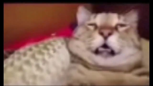 критическое повреждение двигателя.. смотреть онлайн