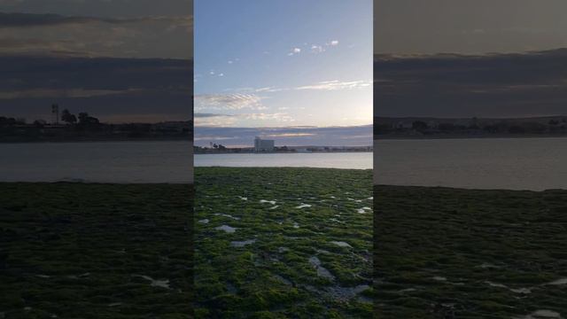 Гуляю по отмели в городе Пуэрто Мадрин. Аргентина. смотреть онлайн