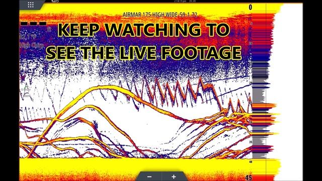 Sonar for Dummies! Fish Finder Explained for BEGINNERS! (L4) смотреть онлайн