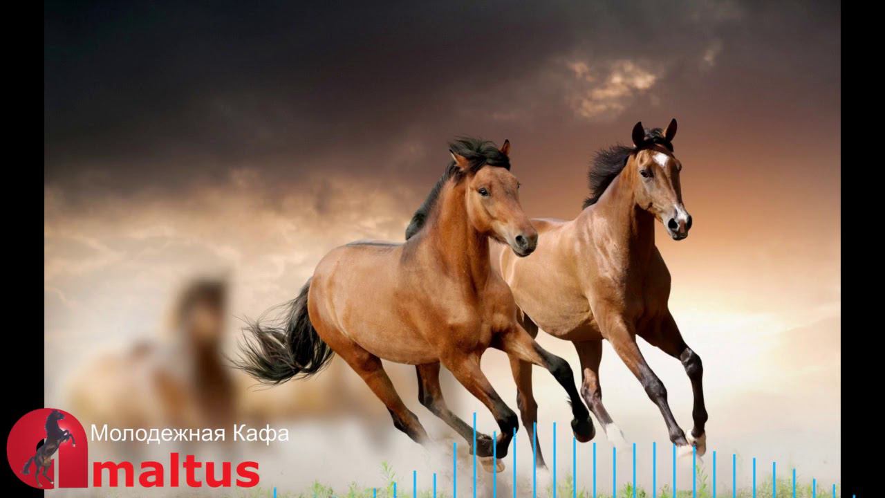 Молодежная Кафа [Amaltus] смотреть онлайн