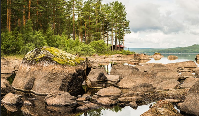 Самый красивый звук мягкого журчания воды для сна и отдыха ✦ relax ✦ sounds of the forest смотреть онлайн