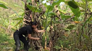3 Days - Life of a 17 Year Old Single Mother - Upland Market & Banana Farming