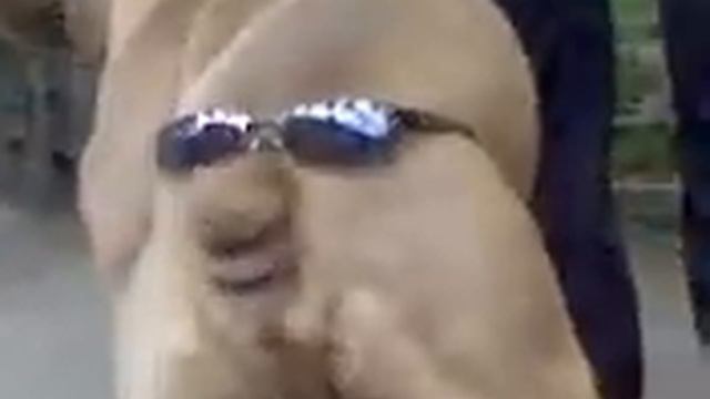 Очки на жопе.avi смотреть онлайн