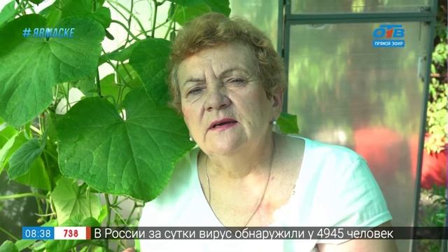 Руки садовода – защищаем растения от паутинного клеща