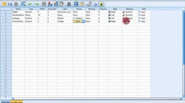 Part 1: SPSS Data Import, excel.xls, SPSS, .dat, .csv, Input and Analysis