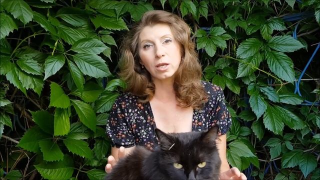 Клематисы. Летняя обрезка после первого цветения. Как стимулировать повторное цветение клематисов. смотреть онлайн