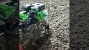 Посадка картофеля под дисковый окучник