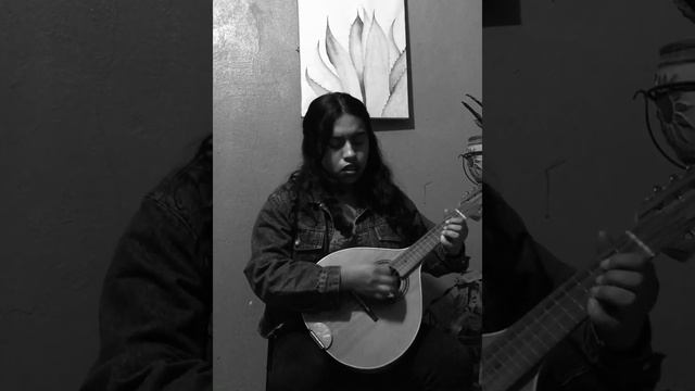 Knockin' on Heaven's Door | mandolina cover смотреть онлайн