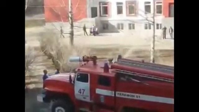 Как достать кота с дерева смотреть онлайн