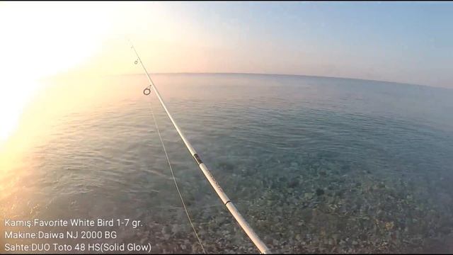 Duo Tetra Works 48 HS ile Light Rock Fishing (LRF) Zargana Avı/Kuzu Salımı/Ultra Light 26.06.2018 смотреть онлайн