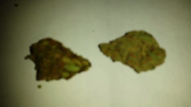 Weed haul: jack frost from purple star смотреть онлайн