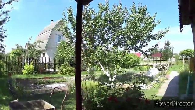 На пляже целуются, обнимаются, зажимаются. Жизнь продолжается. Снова на даче.Vlog.Брест смотреть онлайн