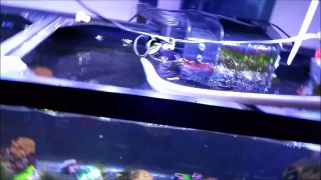 Some changes for the frag tank Pt. 1 смотреть онлайн