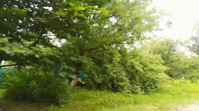 Город Абинск, Краснодарский край. смотреть онлайн