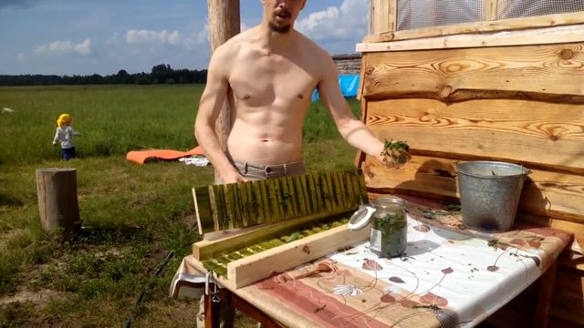 Лучший способ заготовки Иван-чая.