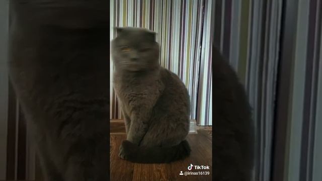 НИКАК МЕНЯ НЕ ЗОВУТ, НАЗЫВАЕТСЯ ЛЮДИ ПОТЕРЯЙТЕСЬ 😂😂😂 смотреть онлайн