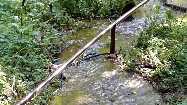 Sounds of nature in Karabikha (Nikolay Nekrasov brother's estate) смотреть онлайн