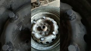 Переднее колесо от авто на муравей