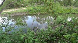 Ловля щуки на живца 2023. ОСТАВИЛ ПОСТАВУШКИ НА НОЧЬ! Рыбалка на щуку в июне.