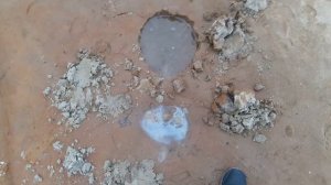 Какалики  или "убитые" монеты. Что делать с какаликами?