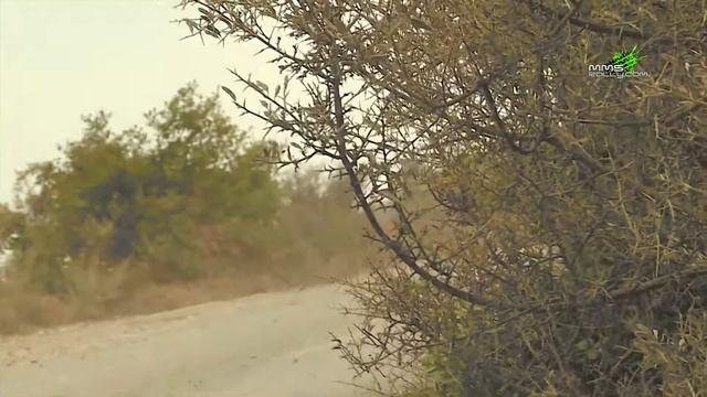 Bassel Abou Hamdan & Firas Elias In Rally Of Lebanon 2015 смотреть онлайн