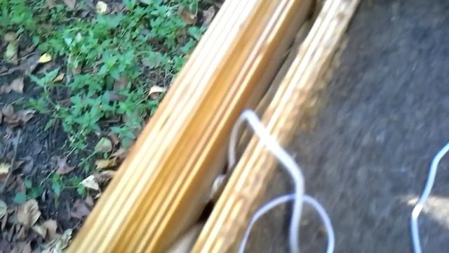 Пчелы, клещи и садовый хрен смотреть онлайн