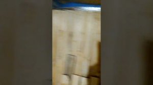 Баня из досок и поддонов