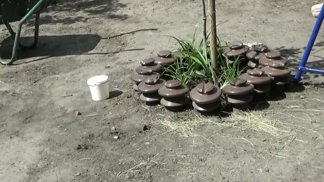 Сушим мяту на зиму смотреть онлайн