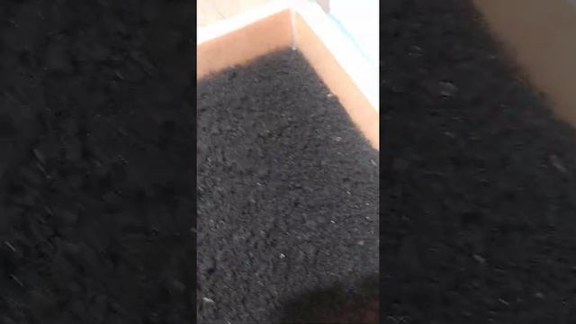 Обзор моей вермифермы.