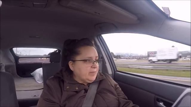 продолжение работ на доме, еще одна собака.Куда подевалась маленькая барашка? смотреть онлайн