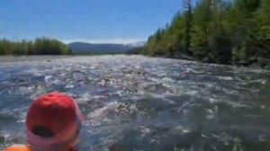 Ежегодный сплав по реке Хасын на Колыме, июнь 2021 года