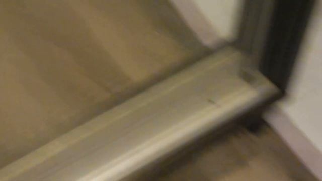 #2 Наш любимец Фокс. Две недели с нами. Русский спаниель смотреть онлайн