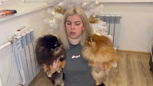 Vlog, или первая попытка его снять)