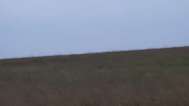 708 Большой Поиск 1 пара смотреть онлайн