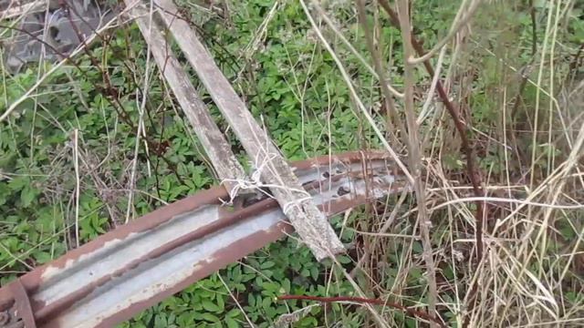 ТРИ полезных совета по обрезке ЕЖЕВИКИ в Мае и как заботится о ежевики чтобы было больше ягод. смотреть онлайн