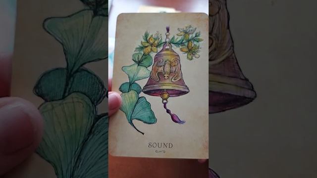 Unboxing Anatomy of a Witch Oracle by Laura Tempest Zakroff смотреть онлайн